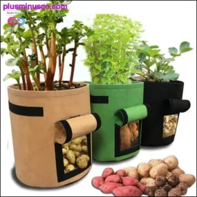 3 size Plant Grow Bags home garden Potato pot greenhouse