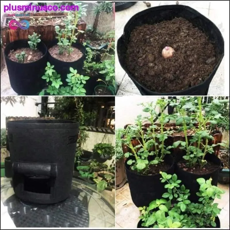 3 size Plant Grow Bags home garden Potato pot greenhouse