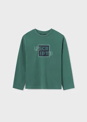 842- L/s basic t-shirt for teen boy - Mint