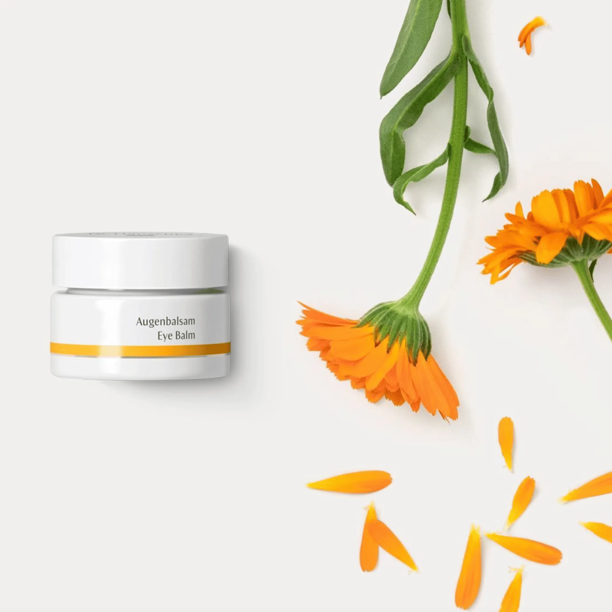 Dr. Hauschka Eye Balm