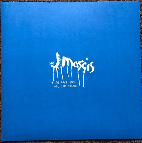 J Mascis ~ What Do We Do Now