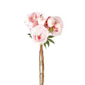 Peony Bundle - Light Pink